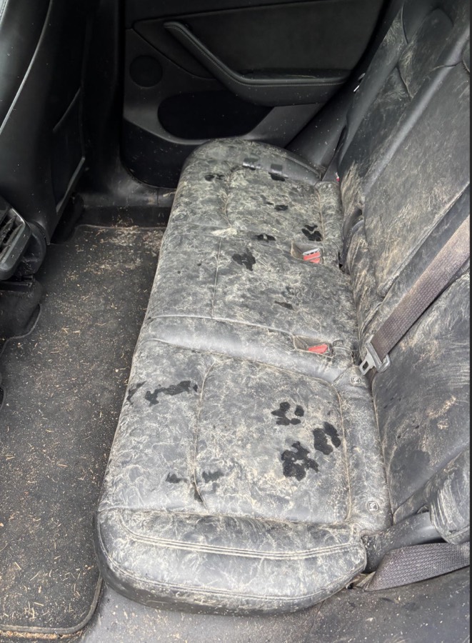 Car interior before detailing, muddy paw prints and pet hair